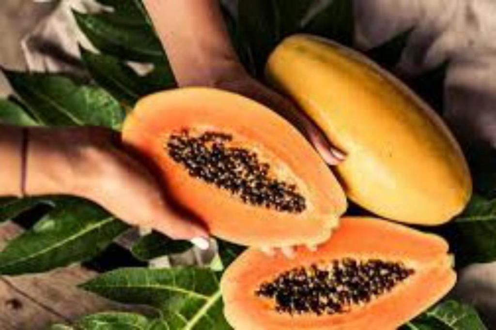 Manfaat Makan Buah Pepaya Dipagi&nbsp;Hari