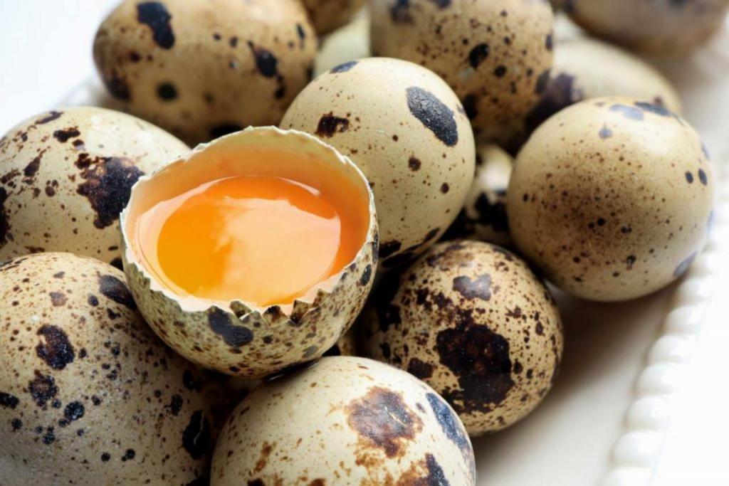 Simak Manfaat Telur Puyuh untuk Menu MPASI Bayi Anda&nbsp;Disini