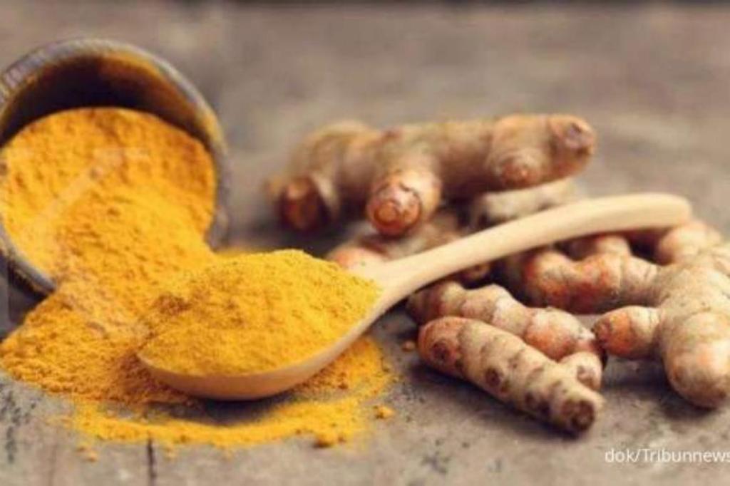 Selain Menambah Nafsu Makan, Ini Manfaat Lain&nbsp;Temulawak